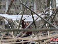南京大学生用“竹子”搭建创意建筑