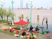 江西全省进入主汛期 赣江南昌段水位暴涨