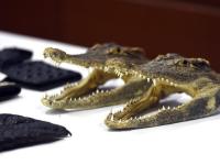 郑州海关移交贵重走私物品 现整张鳄鱼皮