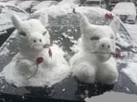 青海多地降雪 省会西宁出现暴雪
