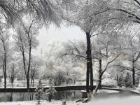 青海多地降雪 省会西宁出现暴雪