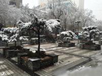 青海多地降雪 省会西宁出现暴雪