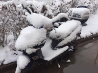 青海多地降雪 省会西宁出现暴雪