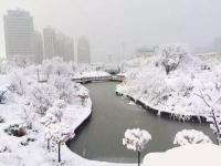 青海多地降雪 省会西宁出现暴雪
