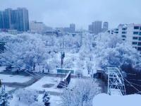 青海多地降雪 省会西宁出现暴雪