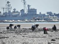 青岛天文大潮退潮大面积海滩露出 市民扎堆挖海鲜