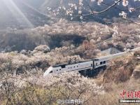 发烧友屡次逼停“开往春天的列车” 景区被封锁