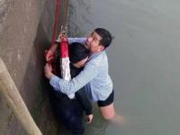 珠海海边漂浮一女子 过路大叔跳海救人