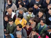 堵！全景记录各地清明扫墓盛况