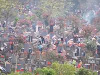 堵！全景记录各地清明扫墓盛况