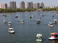 北京赏花客流