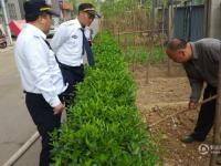 郑州一农民小区里种菜 家住20层从上往下浇水