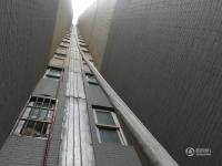 郑州一农民小区里种菜 家住20层从上往下浇水