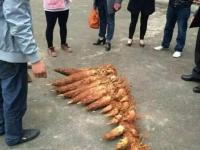 湖南农民挖出