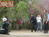 玉渊潭樱花节“最美保安”：跪地给老人拍照