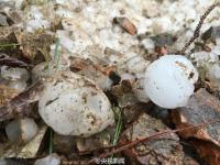 贵州丹寨现鸡蛋大冰雹 屋顶瓦片车窗被砸碎