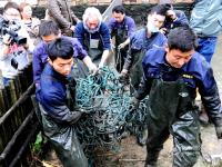 中外动物专家为我国仅剩“寿星”斑鳖人工授精
