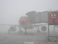 成都机场遭遇浓雾 上万旅客出行受阻