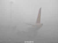成都机场遭遇浓雾 上万旅客出行受阻
