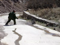 北京怀柔放生狐狸：部分已死只剩一张皮 