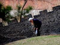 沈阳小区现山寨长城 居民吐槽：质量太差