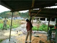 野象来“串门” 村民家粮食被洗劫一空