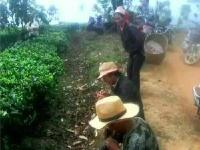 野象来“串门” 村民家粮食被洗劫一空