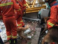 广东东莞一工地坍塌已致12人死亡 2人失联