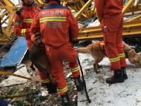 广东东莞一工地坍塌已致12人死亡 2人失联