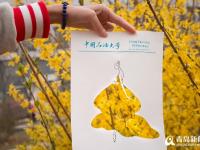 山东大学生创意剪纸 品味校园春天