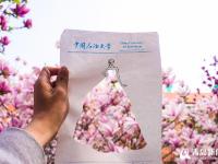山东大学生创意剪纸 品味校园春天