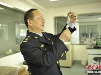 成都截获非法入境活体蚂蚁 含子弹蚁切叶蚁