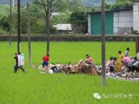 货车侧翻 20多吨货物遭附近村民哄抢