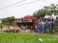 货车侧翻 20多吨货物遭附近村民哄抢