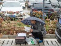湖北公务员开考 11万人冒雨赶考创历史新高