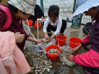 航拍赶海“大军” 千人拾海贝场面壮观
