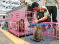 妻子举报丈夫吸毒养小三 民警查获野生猴