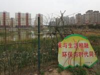 山东滨州居民为应对高菜价垦荒种菜
