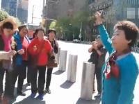 济南组织老人游美国 联合国总部前唱红歌