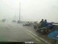 暴雨大风袭击辽宁 大树被连根拔起