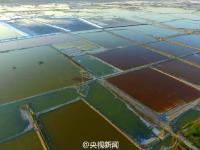 航拍中国“死海” 犹如多彩画卷