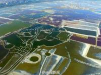 航拍中国“死海” 犹如多彩画卷