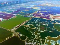 航拍中国“死海” 犹如多彩画卷