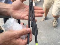 北京一流浪狗头部被箭射穿 箭从前额处穿过