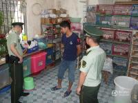广西一出租屋变动物园 武警查获大批野生动物