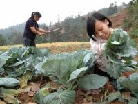 妈妈背着残疾女儿上学 9年如一日