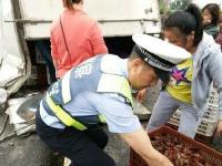 两千公斤小龙虾翻车遭哄抢 民警帮忙捡手被夹肿