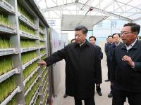 习近平看望赫哲族群众 登上黑瞎子岛视察