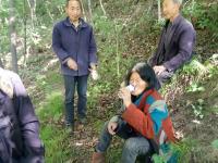 洛阳老人进山烧香迷路 靠吃野草坚持四天