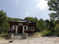 洛阳老人进山烧香迷路 靠吃野草坚持四天